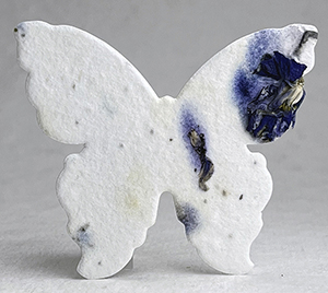 large 4s butterfly