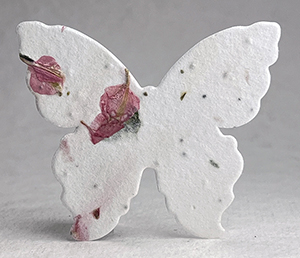 large 52s butterfly
