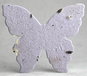 large 55s butterfly