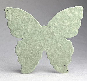 large 62s butterfly