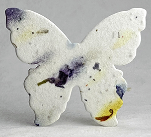 large 66s butterfly