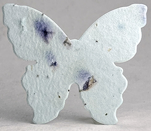 large 67s butterfly