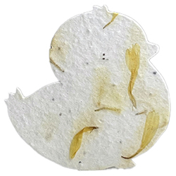 seed paper chick shapes