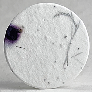 seed paper circle shapes