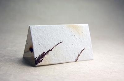 Folding Place Card