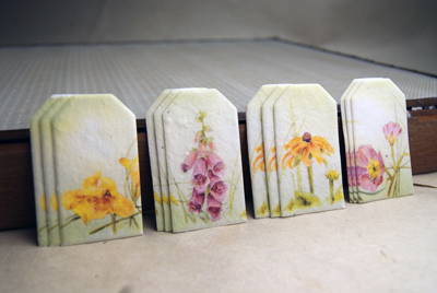 seed paper tags