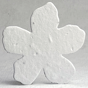 10s white seed paper flower shape 