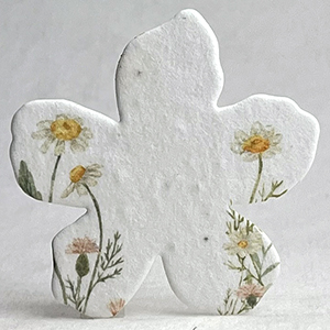 seed paper daisy garden  printed flower shapes