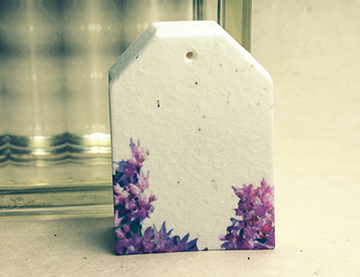 white seed paper tags
