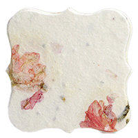 seed paper scalloped square shapes