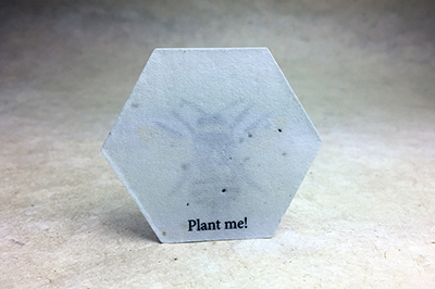 seed paper hexagon shapes