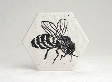 seed paper hexagon shapes