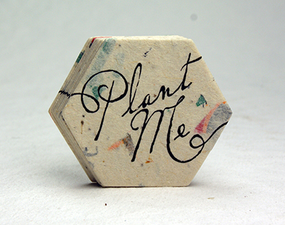 seed paper hexagon shapes