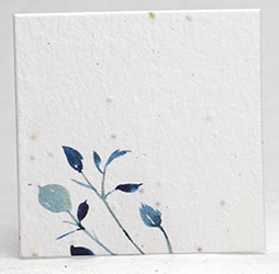 seed paper square shapes