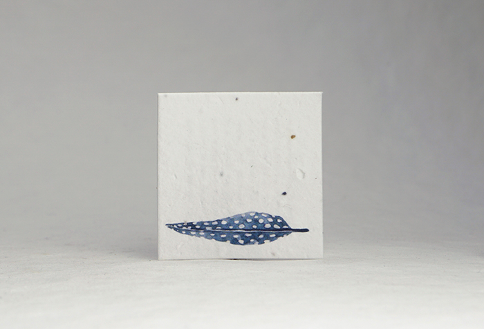 circle seed paper tags