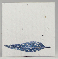 seed paper square shapes