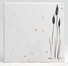 seed paper square shapes