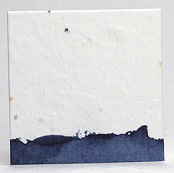 seed paper square shapes