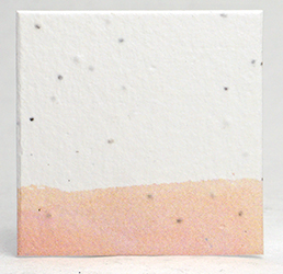 seed paper square shapes