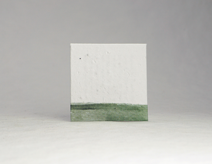 circle seed paper tags