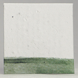 seed paper square shapes