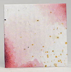 seed paper square shapes