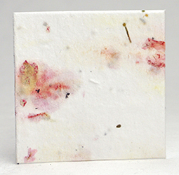 seed paper square shapes