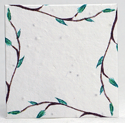 seed paper square shapes