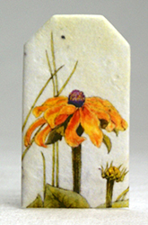 tiny seed paper tags