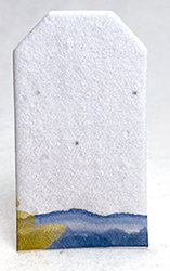 tiny seed paper tags