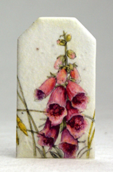 tiny seed paper tags