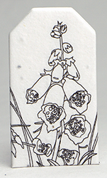 tiny seed paper tags