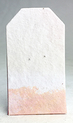 tiny seed paper tags