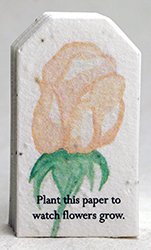 tiny seed paper tags