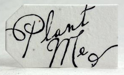 tiny seed paper tags