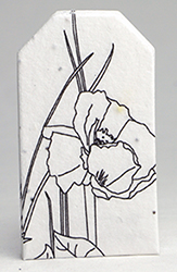 tiny seed paper tags