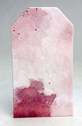tiny seed paper tags