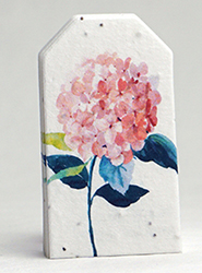 tiny seed paper tags