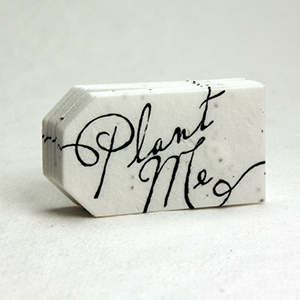tiny 60s seed paper tags