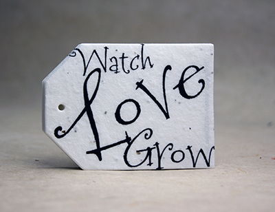 seed paper tags
