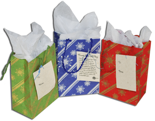 Holiday Seeded Gift Bags