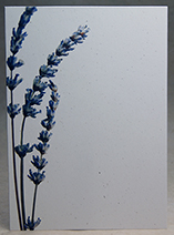 Invitation Panels