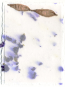 4.5" x 6" invitation kit