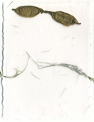 4.5" x 6" invitation kit