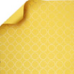 Circle Midori Gift Wrap