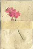 Natural Seeded Favor Envelopes - 10pk