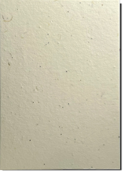 65s - Yellow Cotton/Lotka