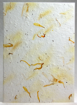 #06s - Marigold