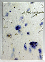 #40s - Purple Larkspur and Tree Fern