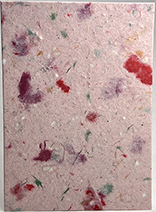 #73s - Marbled Lotka